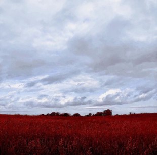 Nyx Black, 'To Discover, Then Forget', photography